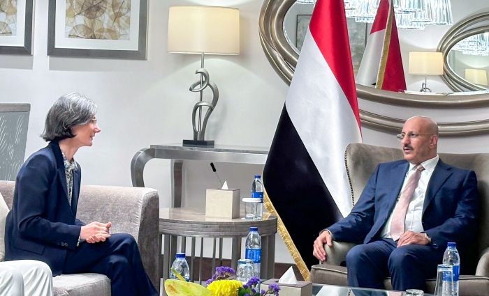 العميد طارق صالح يلتقي السفيرة الفرنسية