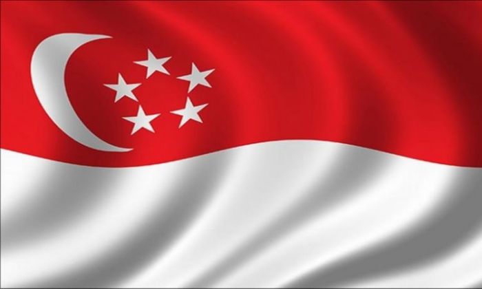 سنغافورة تنضم إلى التحالف الدولي في البحر الأحمر